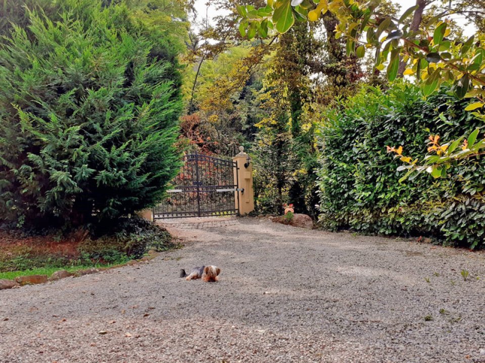 For sale villa in quiet zone Murazzano Piemonte foto 24