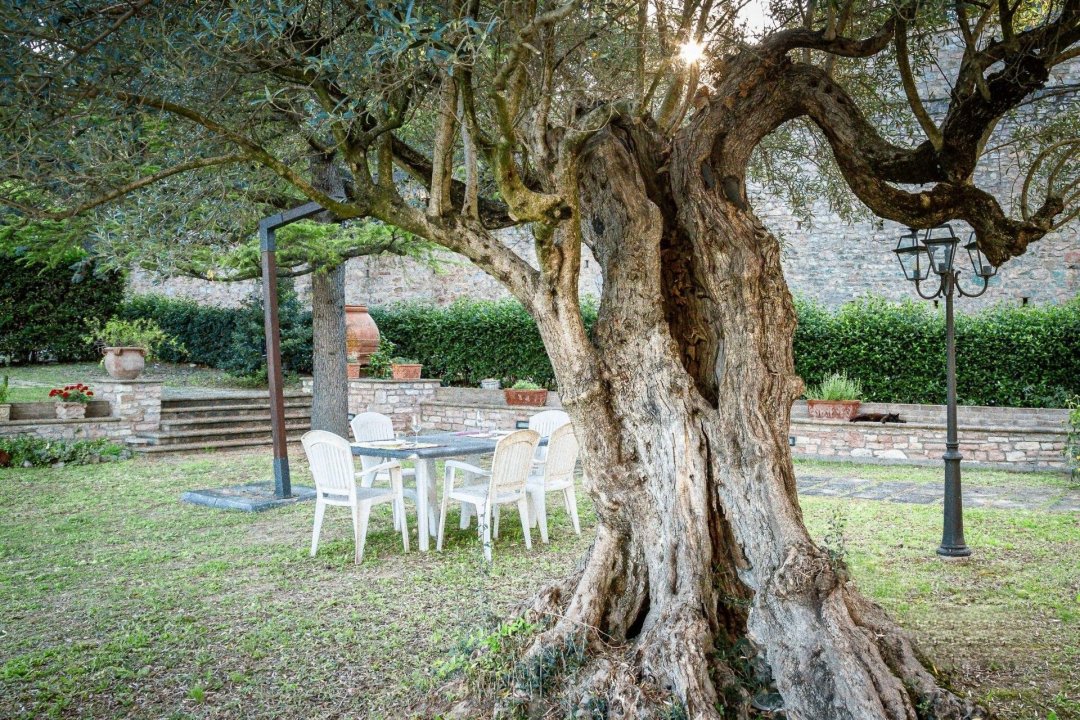 For sale villa in quiet zone Spello Umbria foto 26