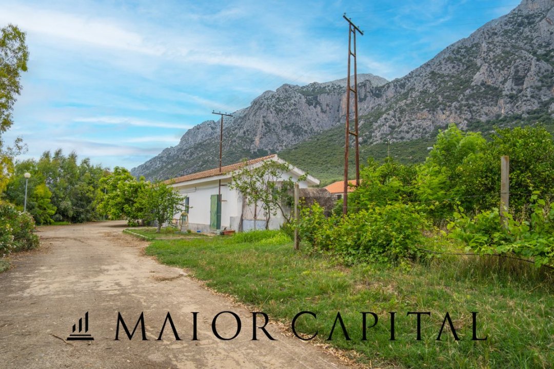For sale terrain in mountain Siniscola Sardegna foto 36