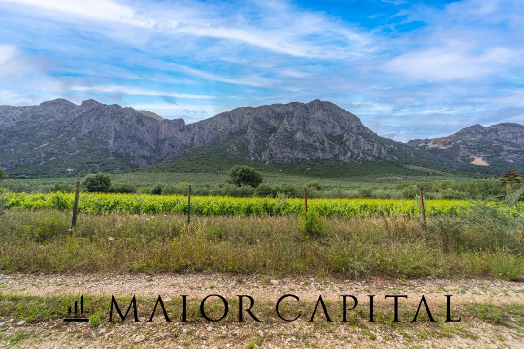 For sale terrain in mountain Siniscola Sardegna foto 38
