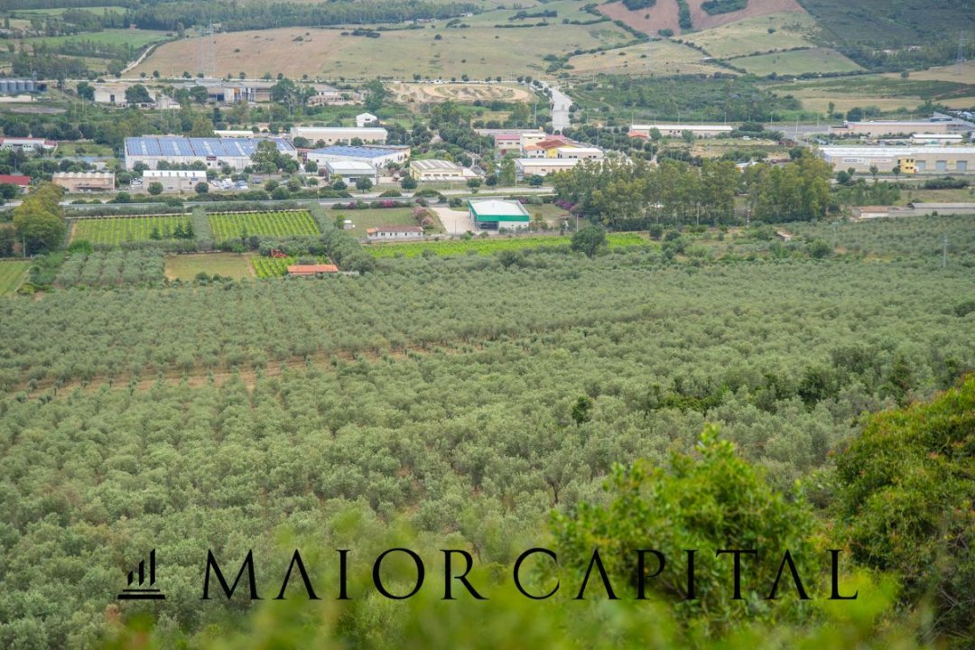 For sale terrain in mountain Siniscola Sardegna foto 41