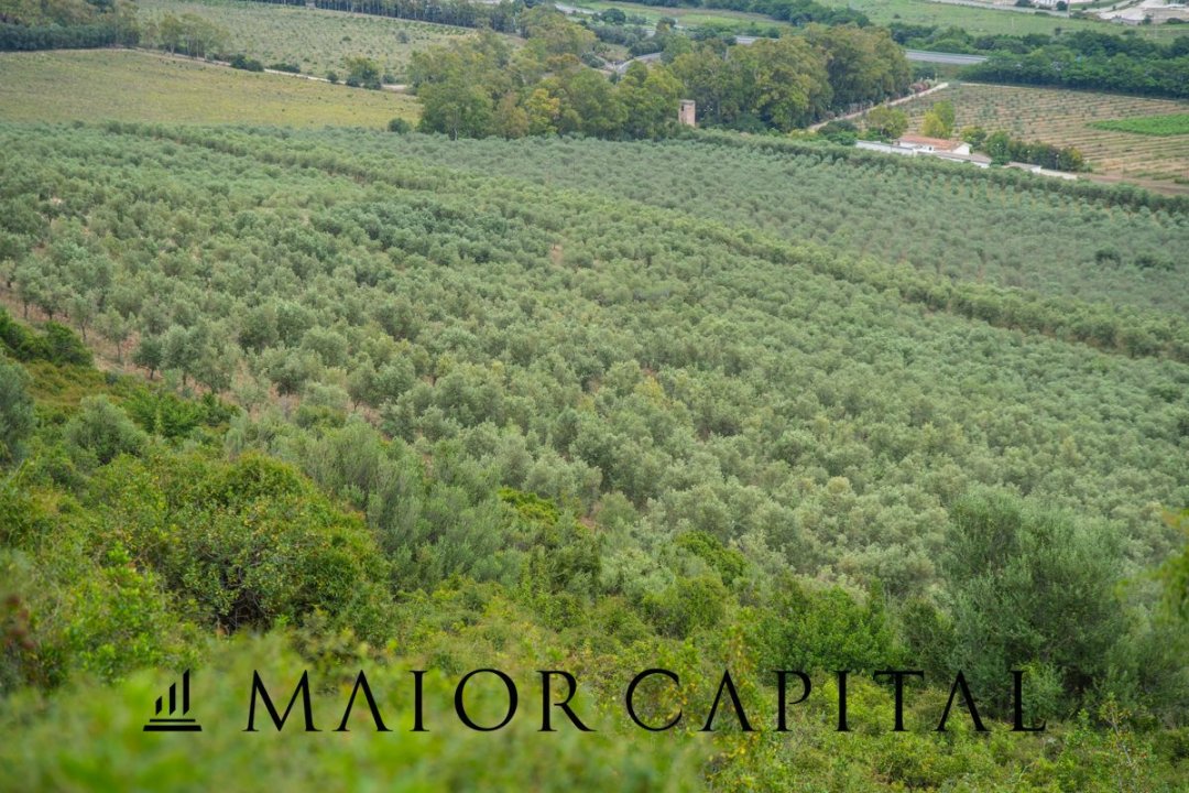 For sale terrain in mountain Siniscola Sardegna foto 47