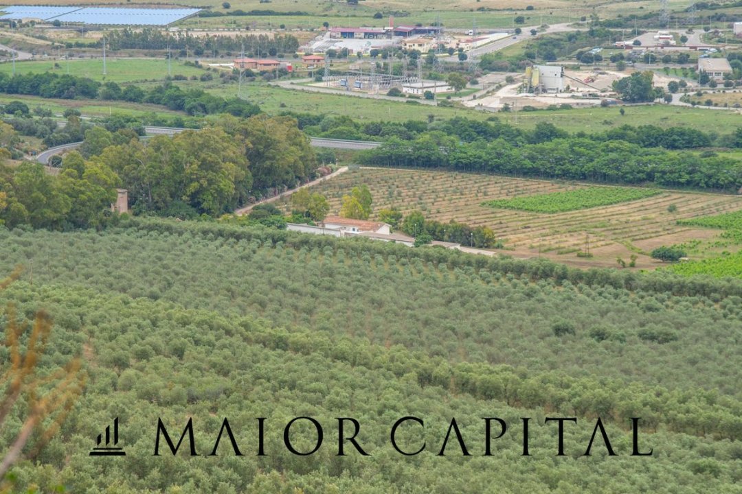 For sale terrain in mountain Siniscola Sardegna foto 45