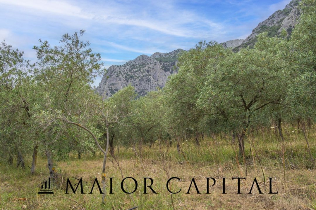 For sale terrain in mountain Siniscola Sardegna foto 46
