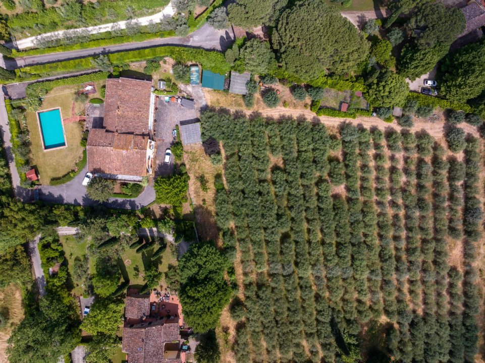For sale villa in quiet zone Firenze Toscana foto 14
