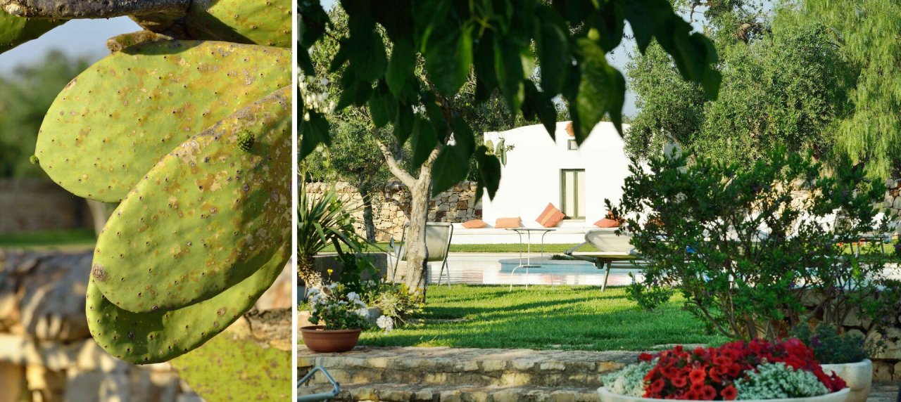 For sale villa in quiet zone San Michele Salentino Puglia foto 18