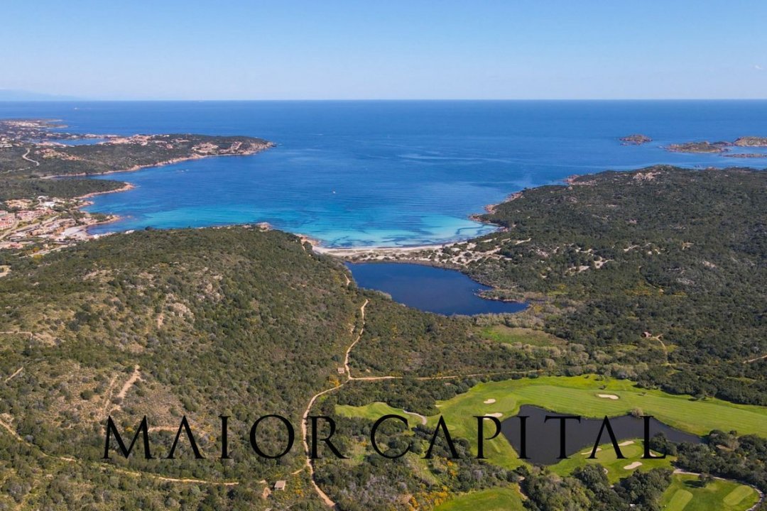 For sale terrain by the sea Arzachena Sardegna foto 4
