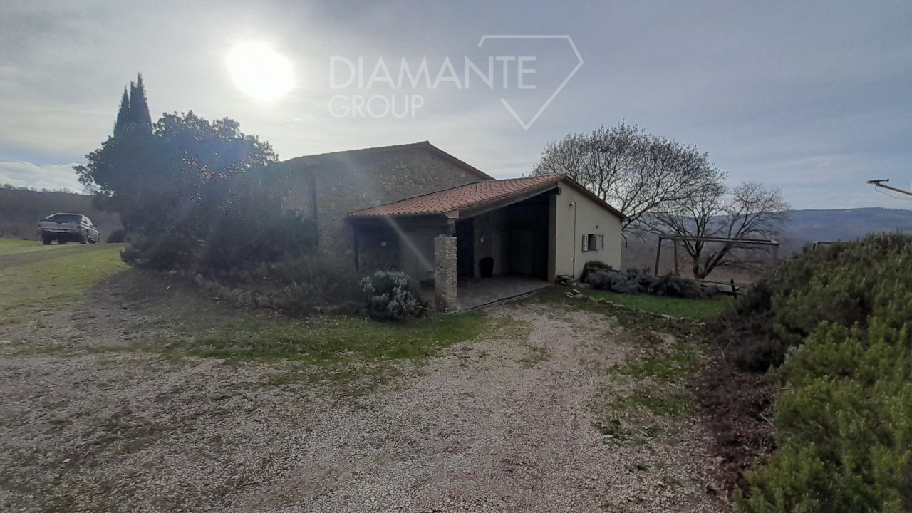 For sale terrain in  Scansano Toscana foto 5