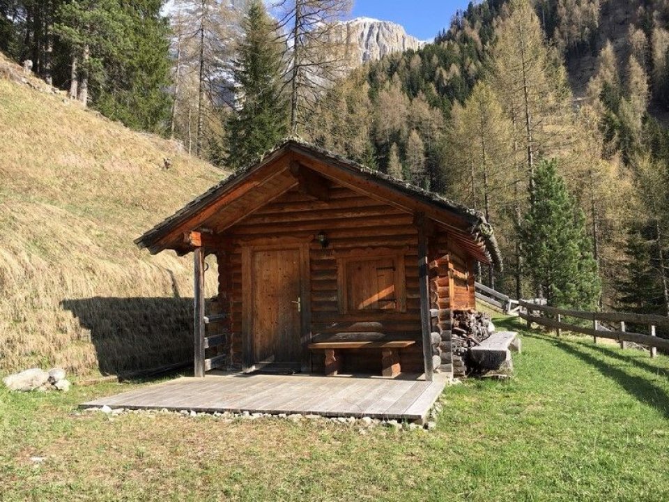 For sale cottage in mountain Selva di Val Gardena Trentino-Alto Adige foto 1