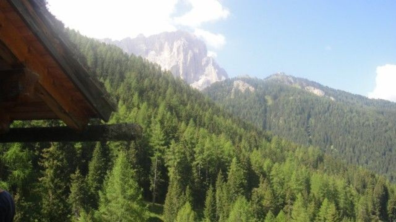 For sale cottage in mountain Selva di Val Gardena Trentino-Alto Adige foto 3