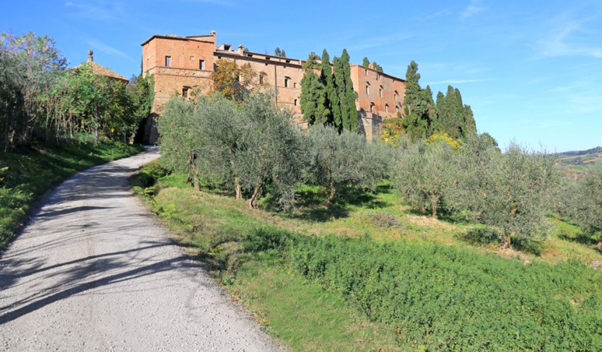 For sale castle in quiet zone Montalcino Toscana foto 19