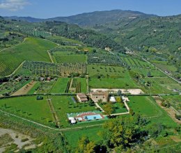 Attività commerciale Quiet zone Pontassieve Toscana